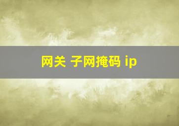 网关 子网掩码 ip